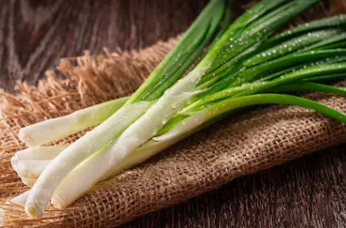 Scallion